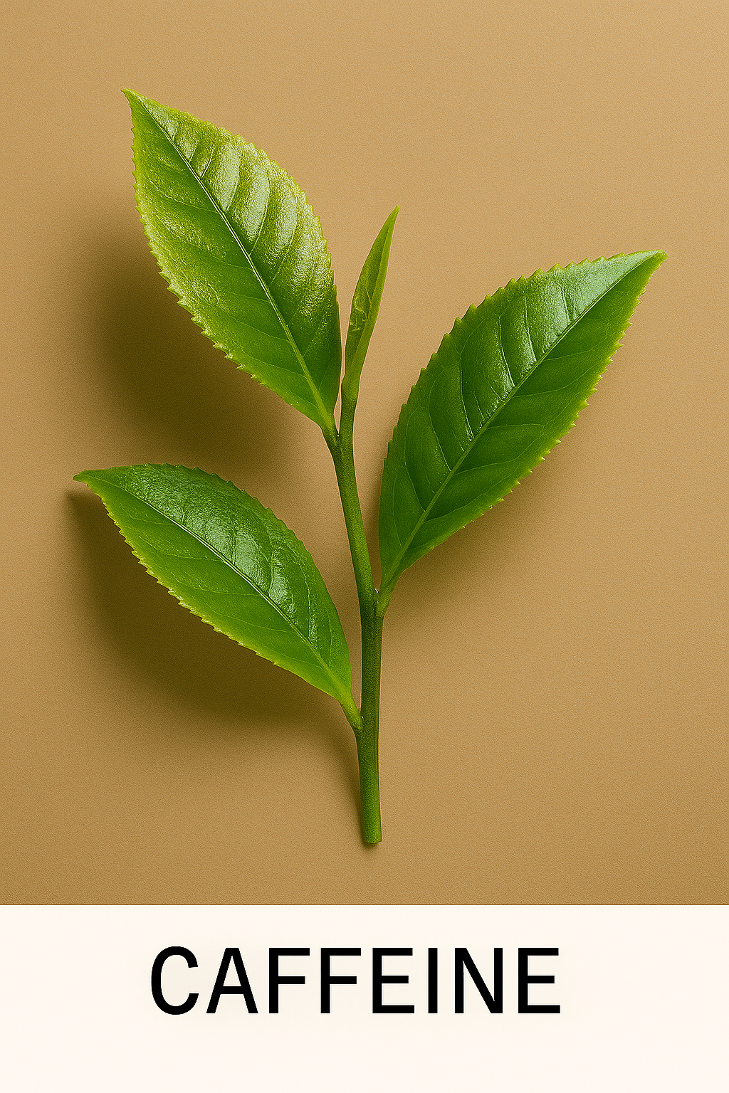 Caffeine ingredient - boosts energy and alertness